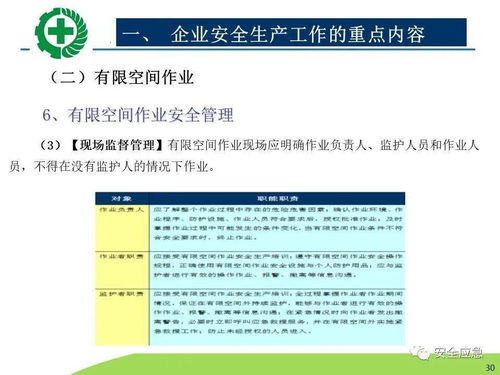 生产经营单位安全生产检查 内容、程序、方法及网络技术服务的应用